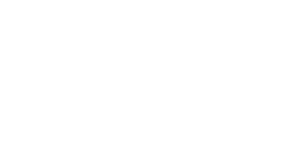 PRIMESTeP